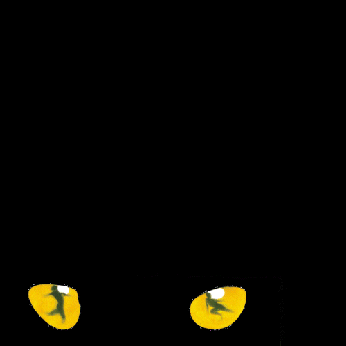 eyes.jpg